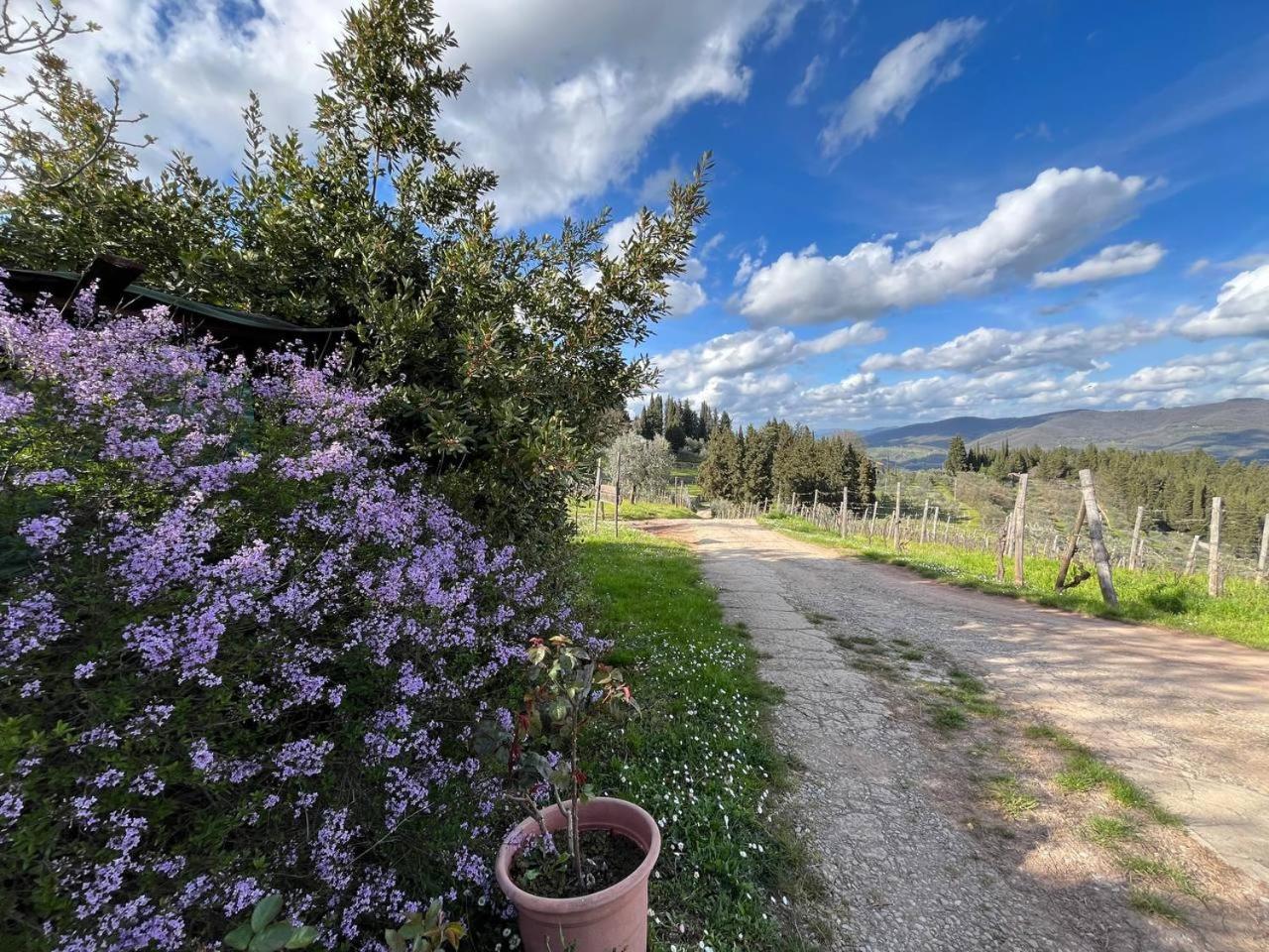 Il Cascino Pensionat Greve in Chianti Exteriör bild
