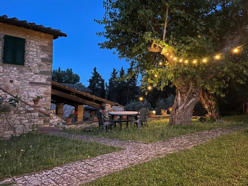 Il Cascino Pensionat Greve in Chianti Exteriör bild