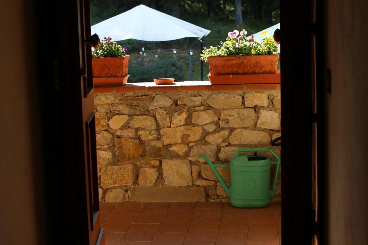 Il Cascino Pensionat Greve in Chianti Exteriör bild